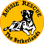 De Aussie rescue, kijk ook eens hier als je een Australian Shepherd zoekt