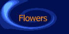 Flowers greeting cards