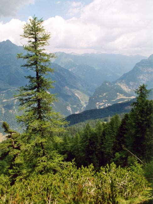 From piz lat, a view into the higher Inn valley (06-07-2003)
