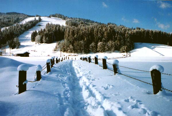 A part of the ski runs in Flachau in Salzburger land - Austria (05-02-2000)