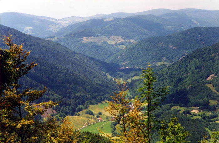 Hochkopf near Todtmoos (06-07-98)