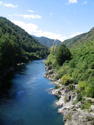 Buller river